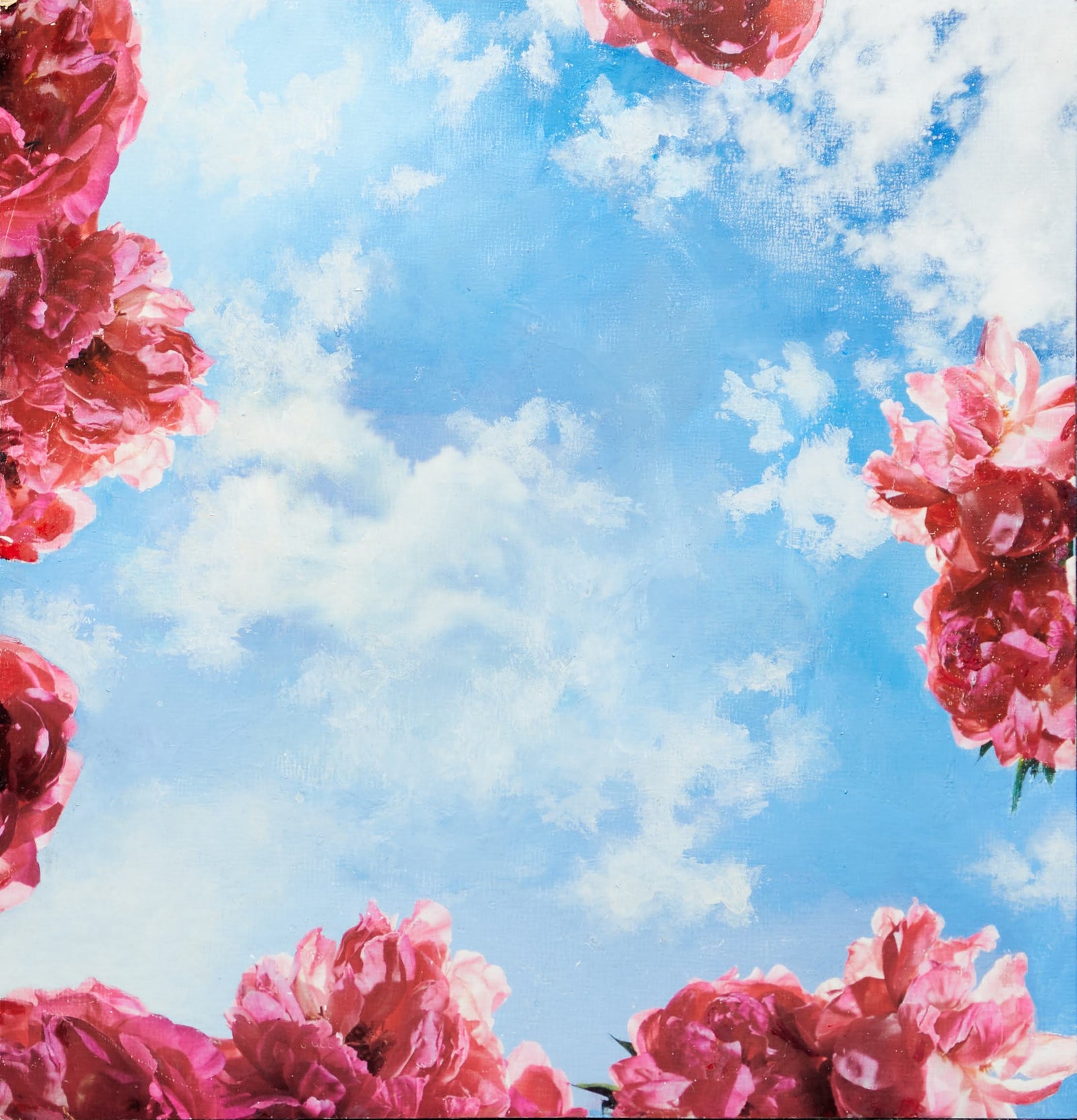 The Bloom Collection