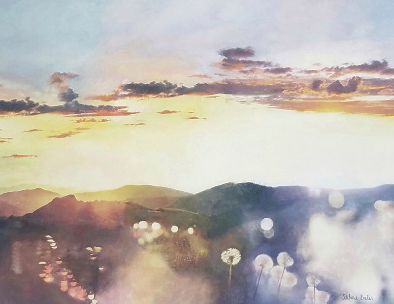 Chasing Light by Stefanie Bales