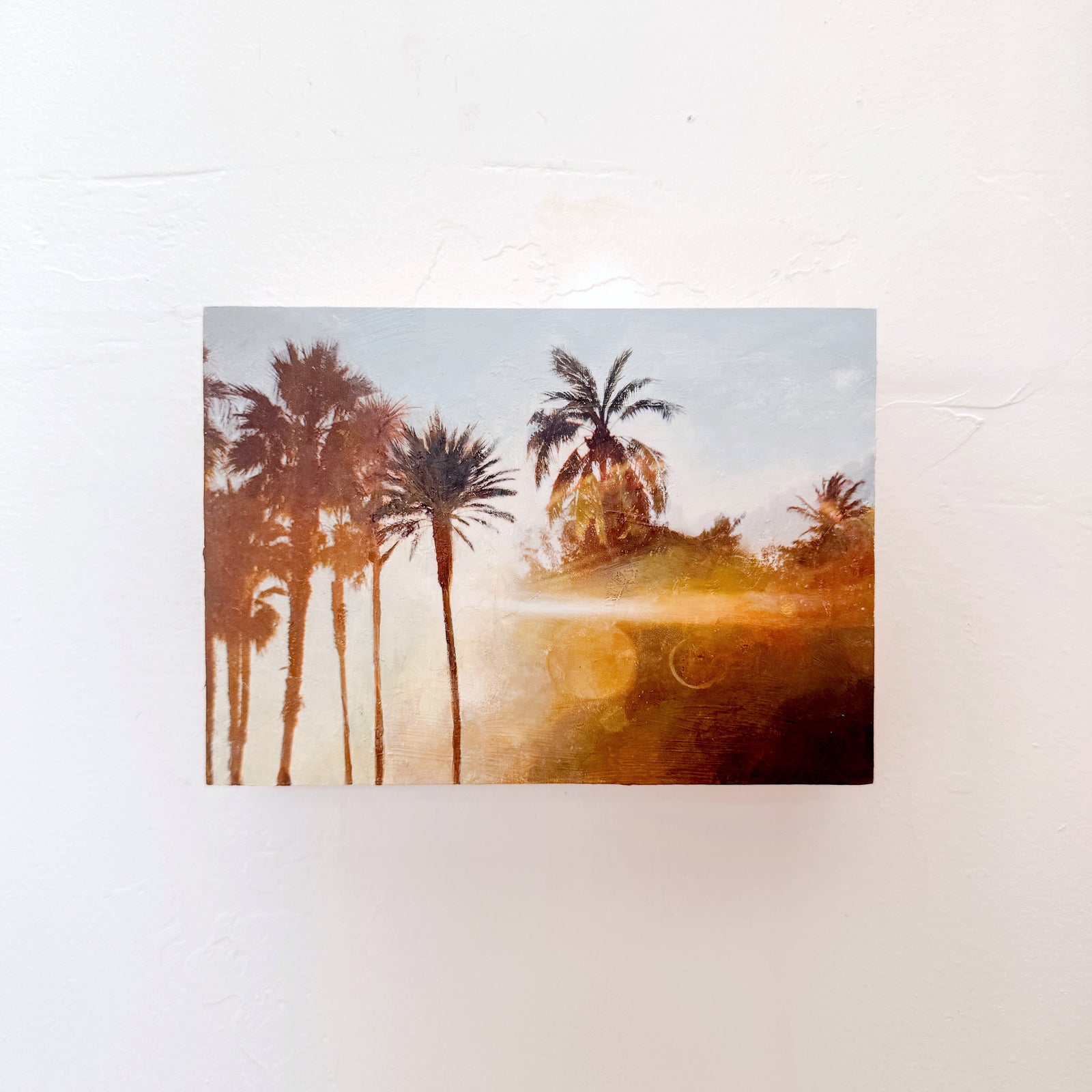 Golden Hour at the Zoo