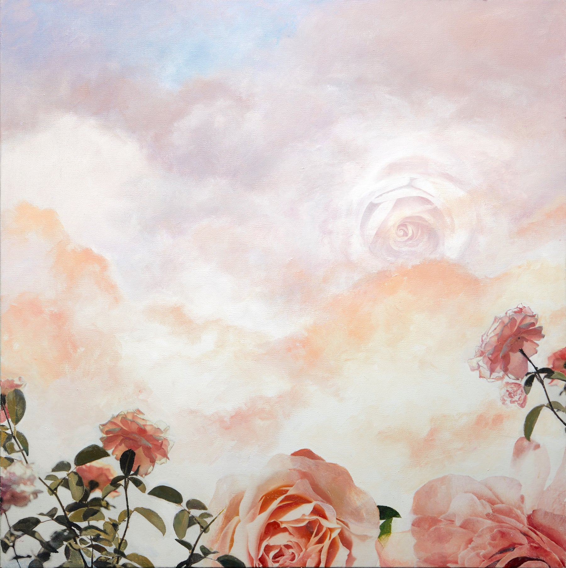 Rhapsody in Bloom