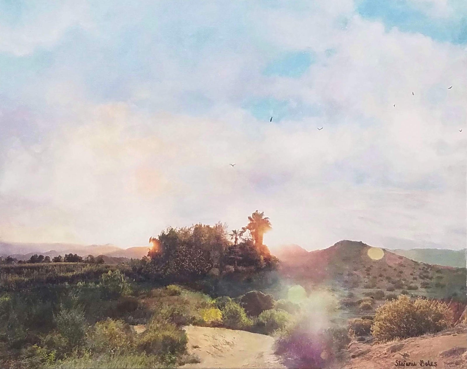 What if trees could dream?